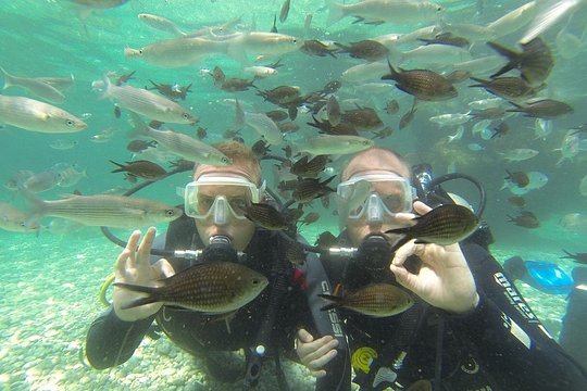 Tour image 5