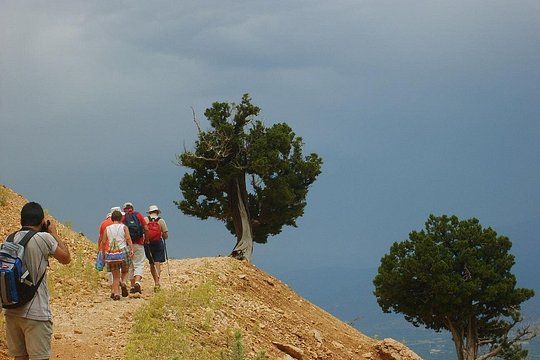 Tour image 1