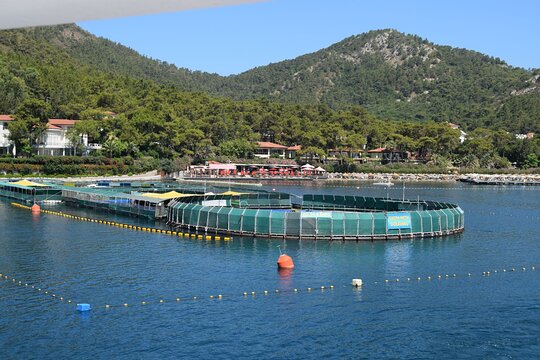 Tour image 7
